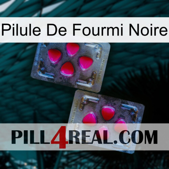 Black Ant Pill 15